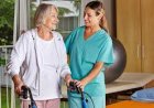 Physical Therapy (PT)