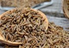 Caraway Seeds: Uses, Benefits & Side Effects
