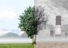 What Causes Air Pollution?