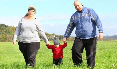 Defining Adult Overweight & Obesity