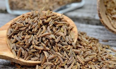 Caraway Seeds: Uses, Benefits & Side Effects
