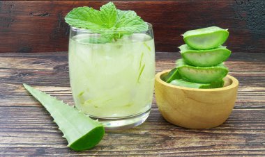 The Benefits of Drinking Aloe Vera Juice
