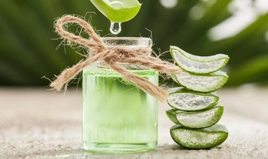 Aloe Vera for Sunburns: Does It Help?