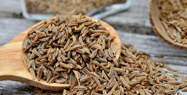 Caraway Seeds: Uses, Benefits & Side Effects