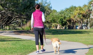 10 Benefits Of Morning Walks