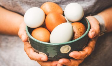 9 Health Benefits of Eating Eggs