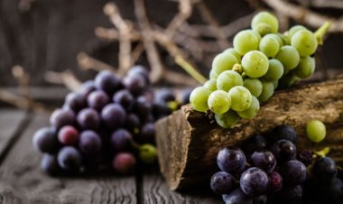 How Grapes Benefit Your Body?