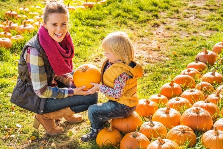 6 Surprising Health Benefits of Pumpkin