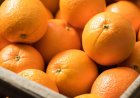 7 Unbelievable Benefits of Eating an Orange Every Day
