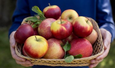 7 Different Ways To Eat An Apple