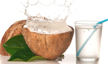 Health Benefits Of Drinking Coconut Water Daily