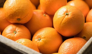 7 Unbelievable Benefits of Eating an Orange Every Day
