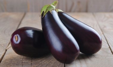Health Benefits of Brinjal