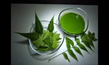 Health Benefits Of Eating Neem Leaves