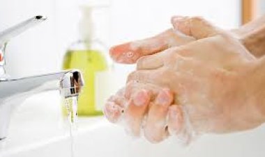 Why Do We Wash Hands Before Eating?