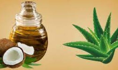 Care For Your Hair With Aloe Vera and Coconut Oil