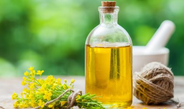 Health benefits of canola oil
