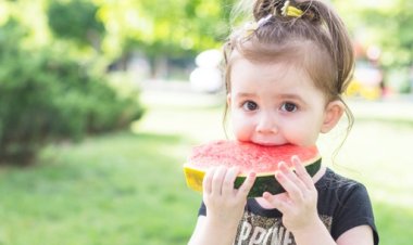 Why we should chew food?