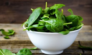 Health Benefits of Spinach
