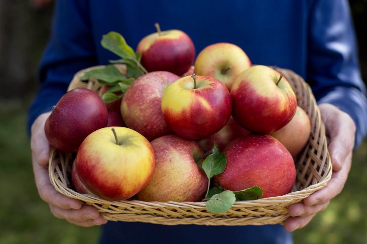 7 Different Ways To Eat An Apple