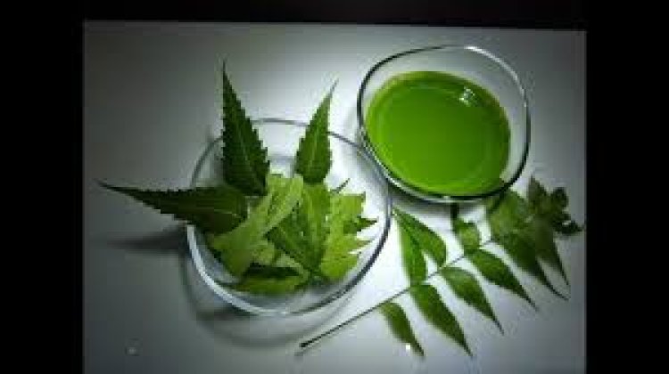 Health Benefits Of Eating Neem Leaves