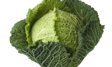 8 Health Benefits of Cabbage