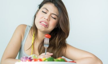 Food as Information for Maintaining a Healthy Body