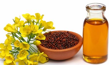 Health Benefits of Mustard Oil