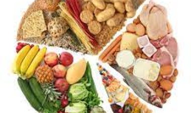 Benefits of different food groups: fats, carbs, protein and fibre