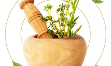 Benefits of Ayurveda Based Lifestyle