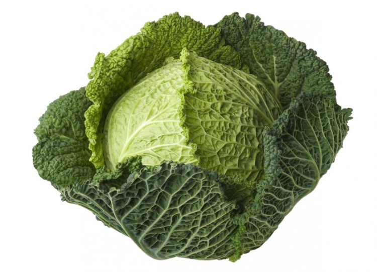 8 Health Benefits of Cabbage