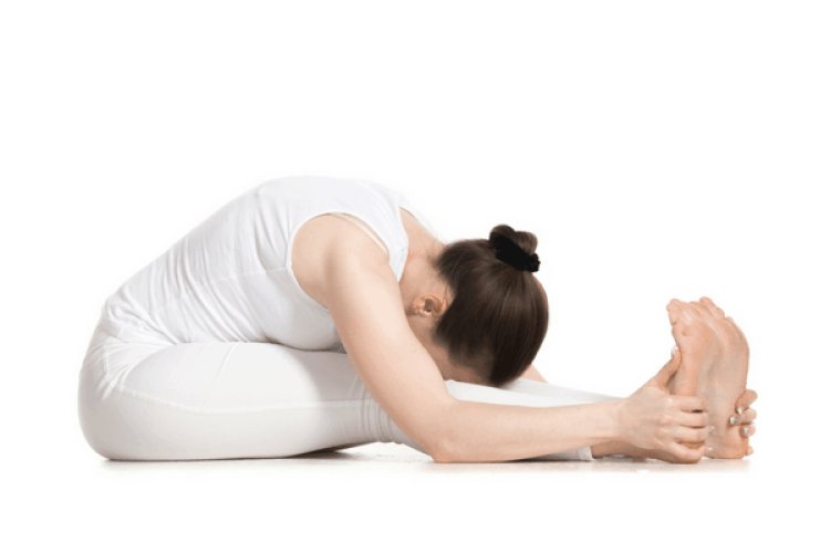 What are Yoga Asanas?