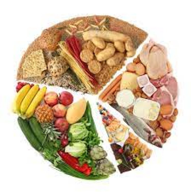 Benefits of different food groups: fats, carbs, protein and fibre