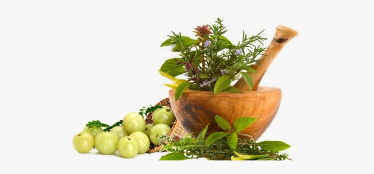 The Benefits of Practicing Ayurveda