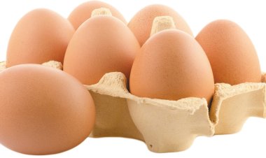 What Happens to Your Body If You Consume Eggs Daily