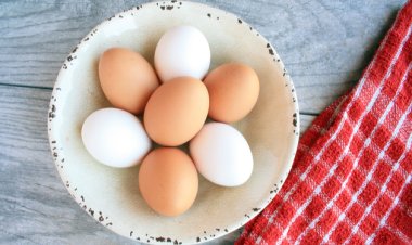 Everything you need to know about eggs