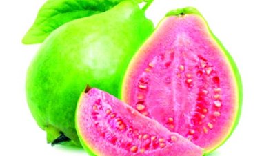 12 Proven Health Benefits of Guavas