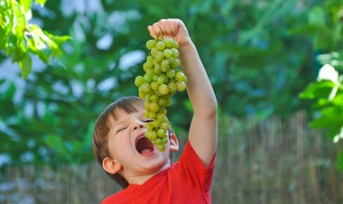 Amazing Benefits Of Grapes For Health And Skin