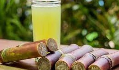 Amazing Health Benefits of Sugarcane Juice