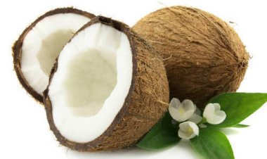 Health Benefits of Coconut