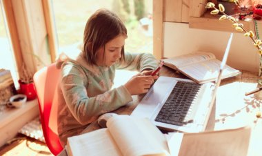 Should Students Study in Early Morning or Late at Night?