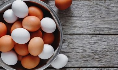 Top 10 benefit of eating egg