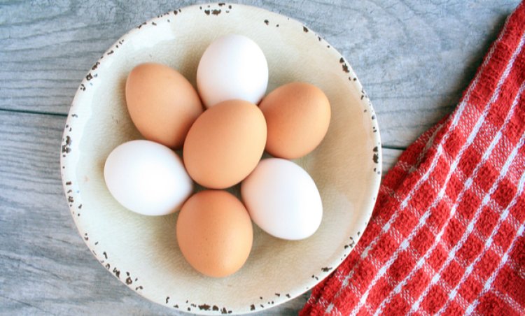 Everything you need to know about eggs