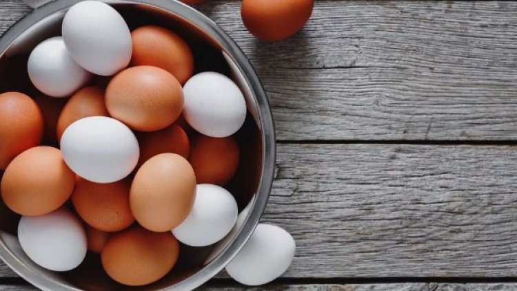 Top 10 benefit of eating egg
