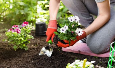 Top 11 Unbelievable Benefits Benefits Of Gardening