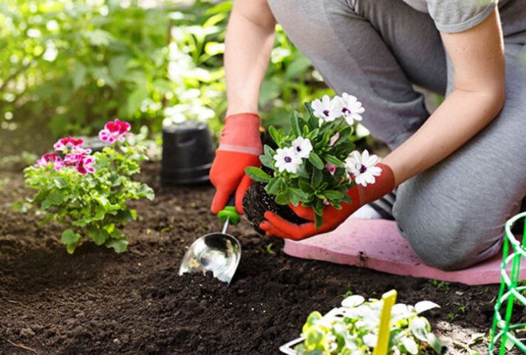 Top 11 Unbelievable Benefits Benefits Of Gardening