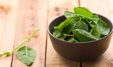 Health Benefits of Tulsi Powder