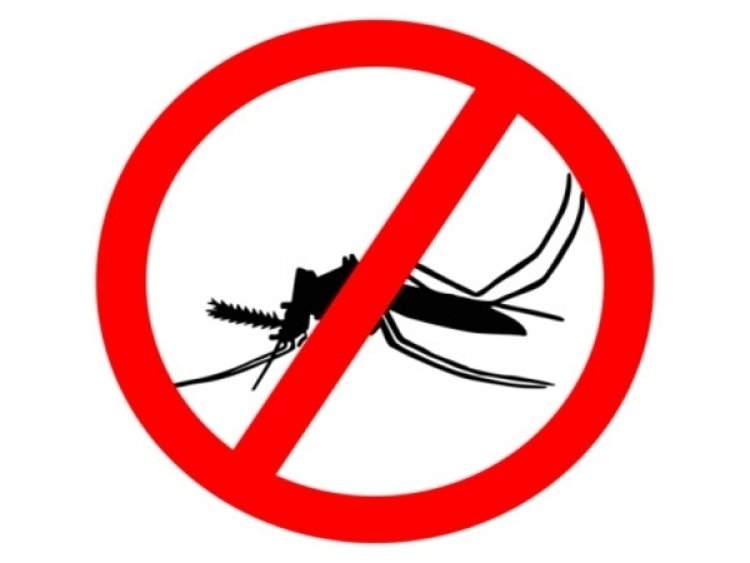 Avoid Dengue by Preventing Mosquito Bites