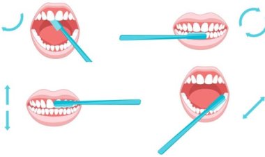 How to Brush Your Teeth the Right Way