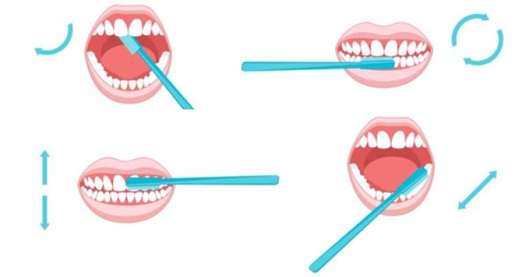 How to Brush Your Teeth the Right Way